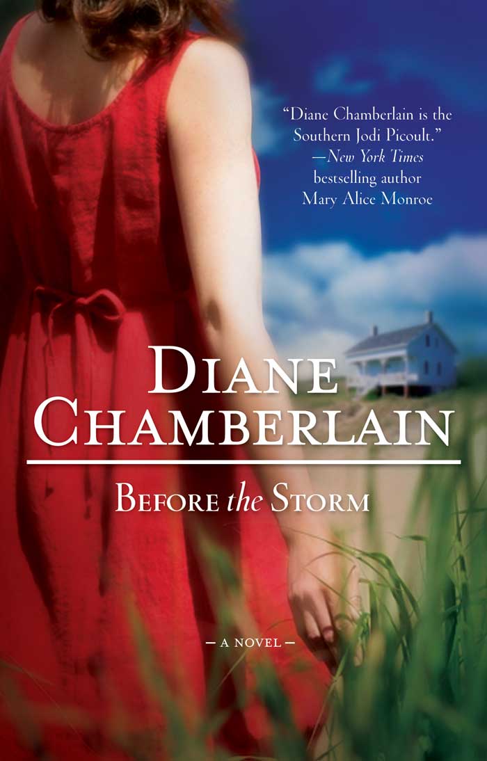 Before The Storm Diane Chamberlain