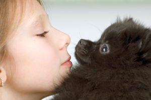 http://www.dreamstime.com/stock-images-girl-puppy-image1662044