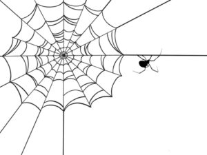 http://www.dreamstime.com/stock-images-corner-spider-web-image21422874